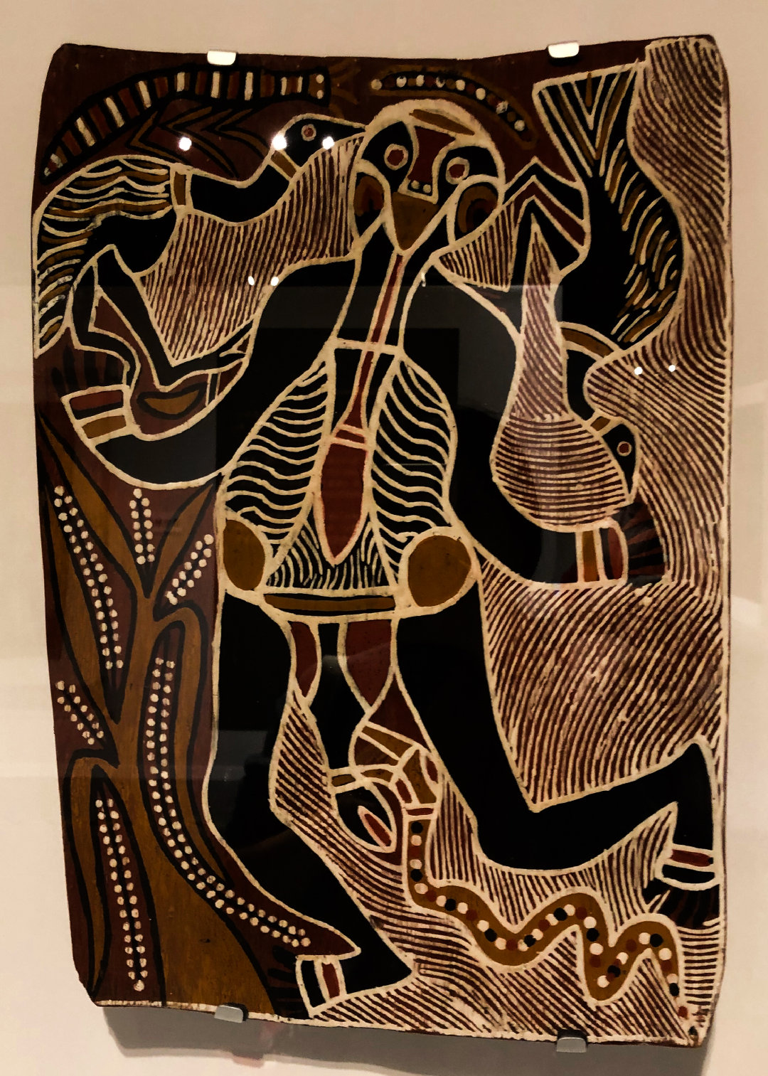 大师|大洋洲|特展|艺术|作品|展览_新浪新闻