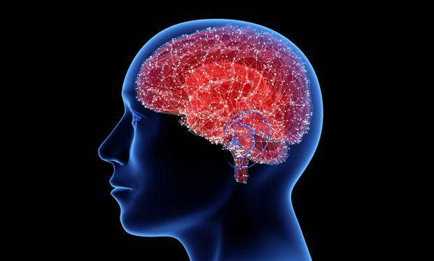 第一次,脑机接口可以实时读取人类语言了|解码|大脑|分校_新浪新闻