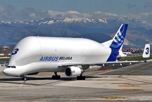 新型飞机升级版的大白鲨