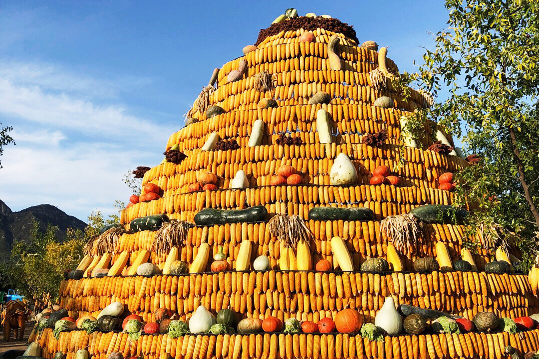 丰收的季节看到这么多玉米棒子做出的各种造型
