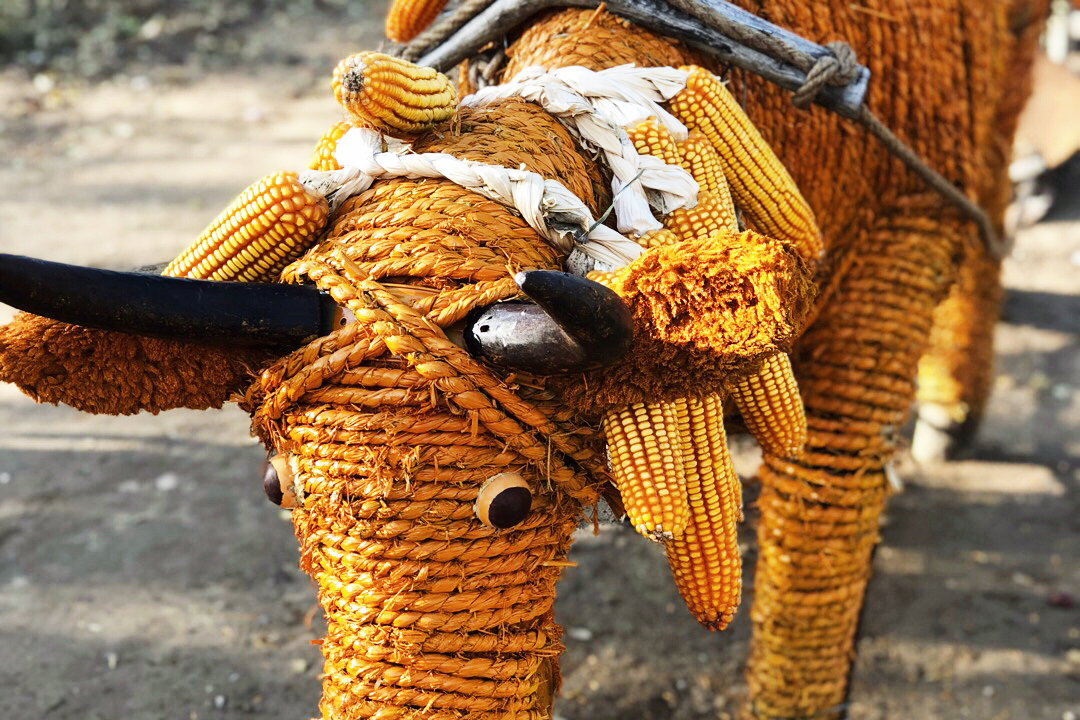 看到这么多玉米棒子做出的各种造型|玉米棒子|丰收|娃儿_新浪新闻