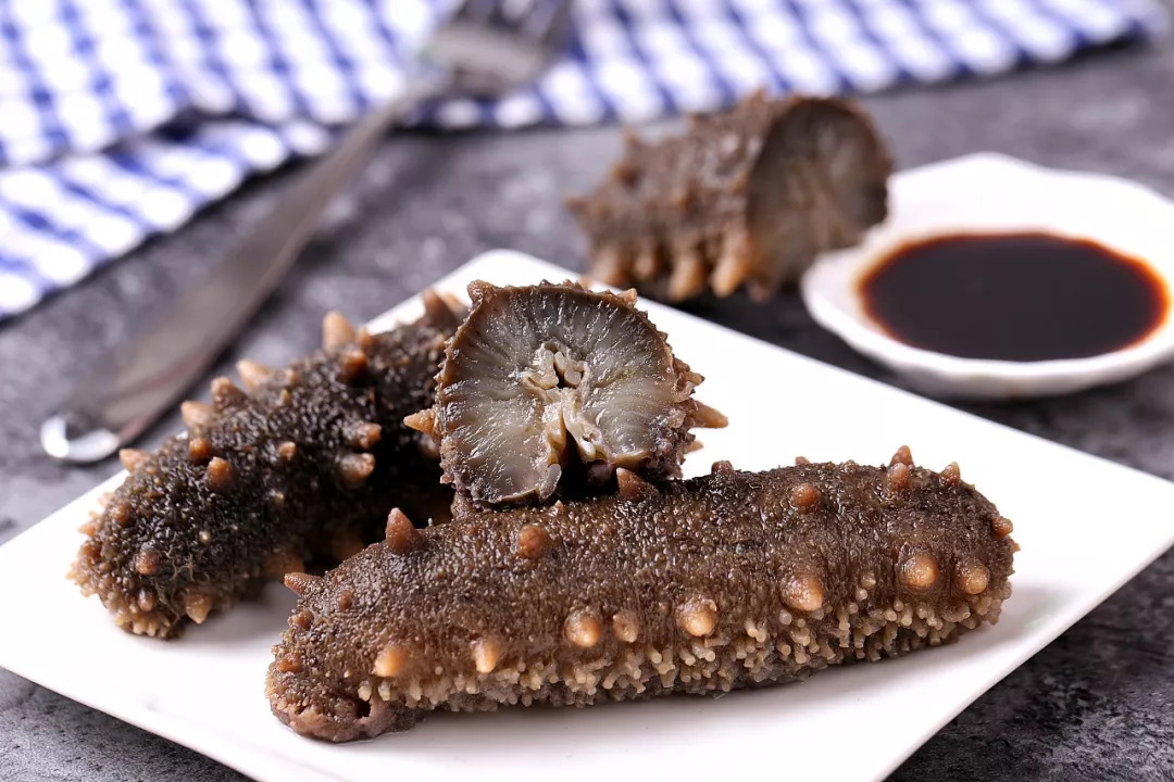 济公传中的最爱海参自古皆是美味你知道吗