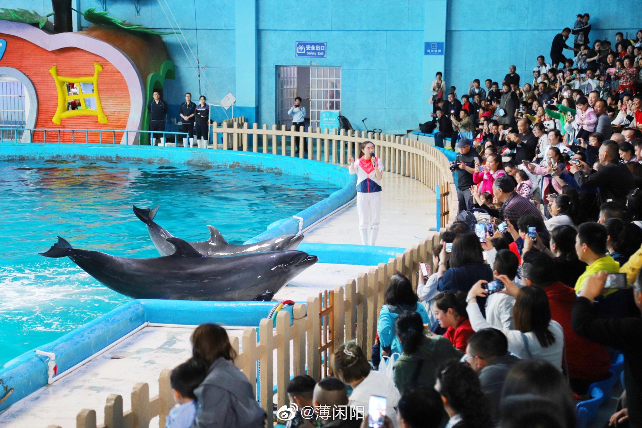 山东蓬莱海洋极地世界是国家aaaa级旅游景区|蓬莱海洋极地世界|海狮|