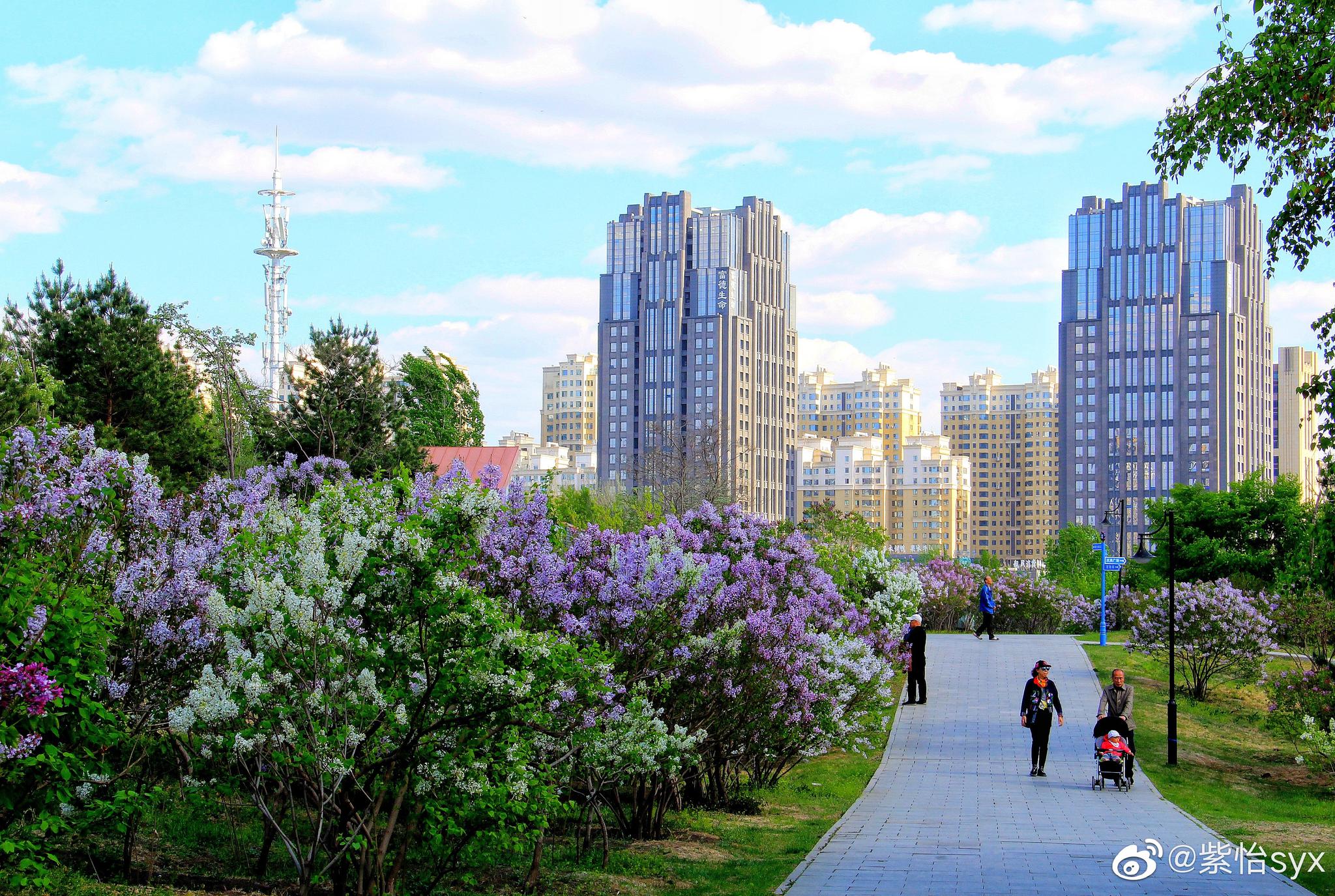 探索在线教育新天地：哈工大课程平台助力学习者实现梦想