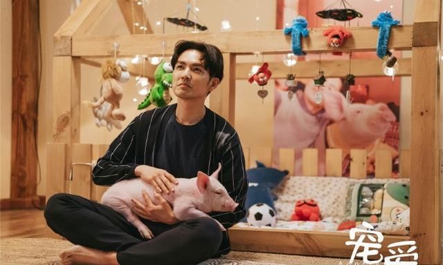 宠爱太好哭了豪七一抬爪电影院里一片啜泣