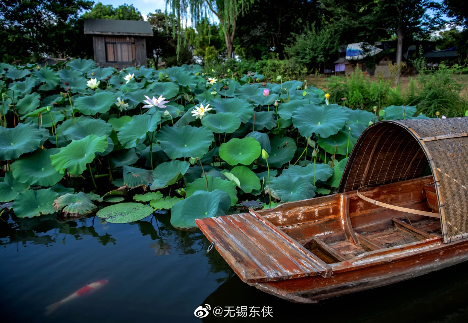 菱叶萦波荷飐风荷花深处小船通
