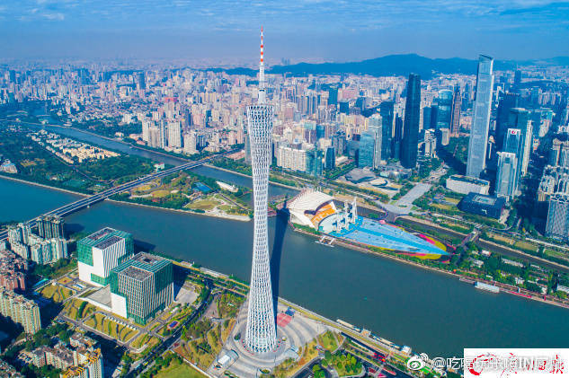 广州与你群号品茶：藏在微信列表里的城市烟火味