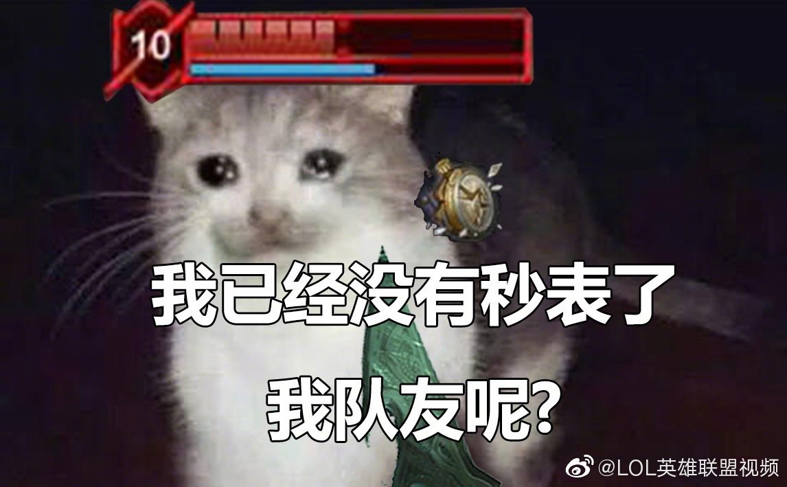 派克系列表情包(图源网络)