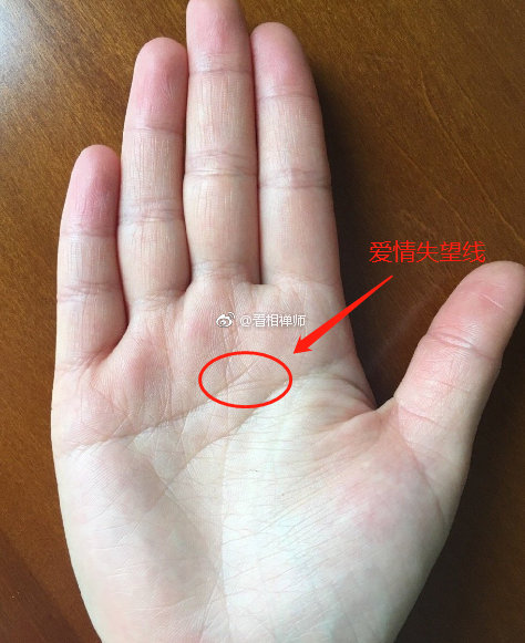 感情线有分叉连接到智慧线相学中称作爱情失望线