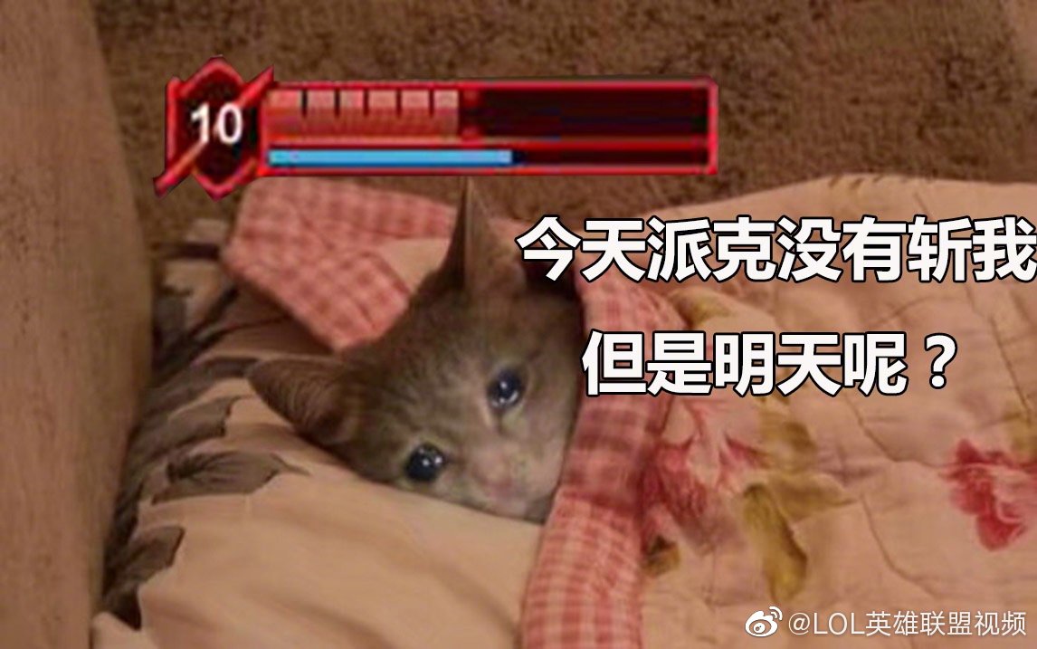 派克系列表情包(图源网络)