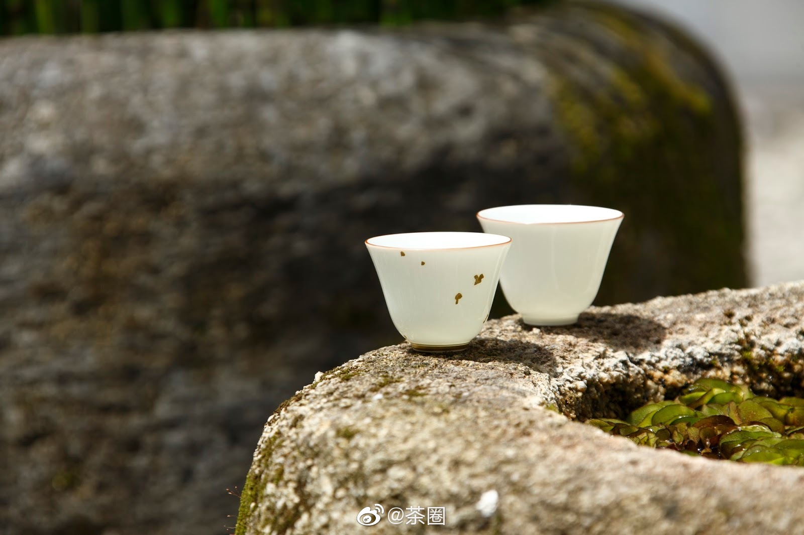 所有的繁华都被挡在了把盏之外,所有的燥热都被隔在了茶烟之末