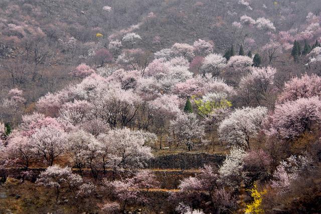 黑鹿河谷部分景點,紅巖洞,杏樹溝,黑鹿爺廟,和尚墳,落水潭,響水石