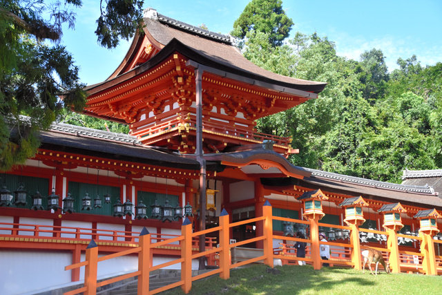 日本奈良春日大社10月起禁止观光巴士停车