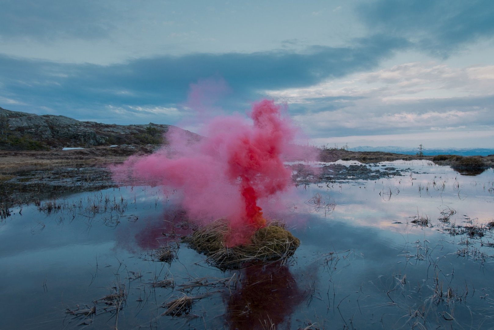 为了研究我们与自然世界的关系|烟雾弹|篝火|栖息地_新浪新闻