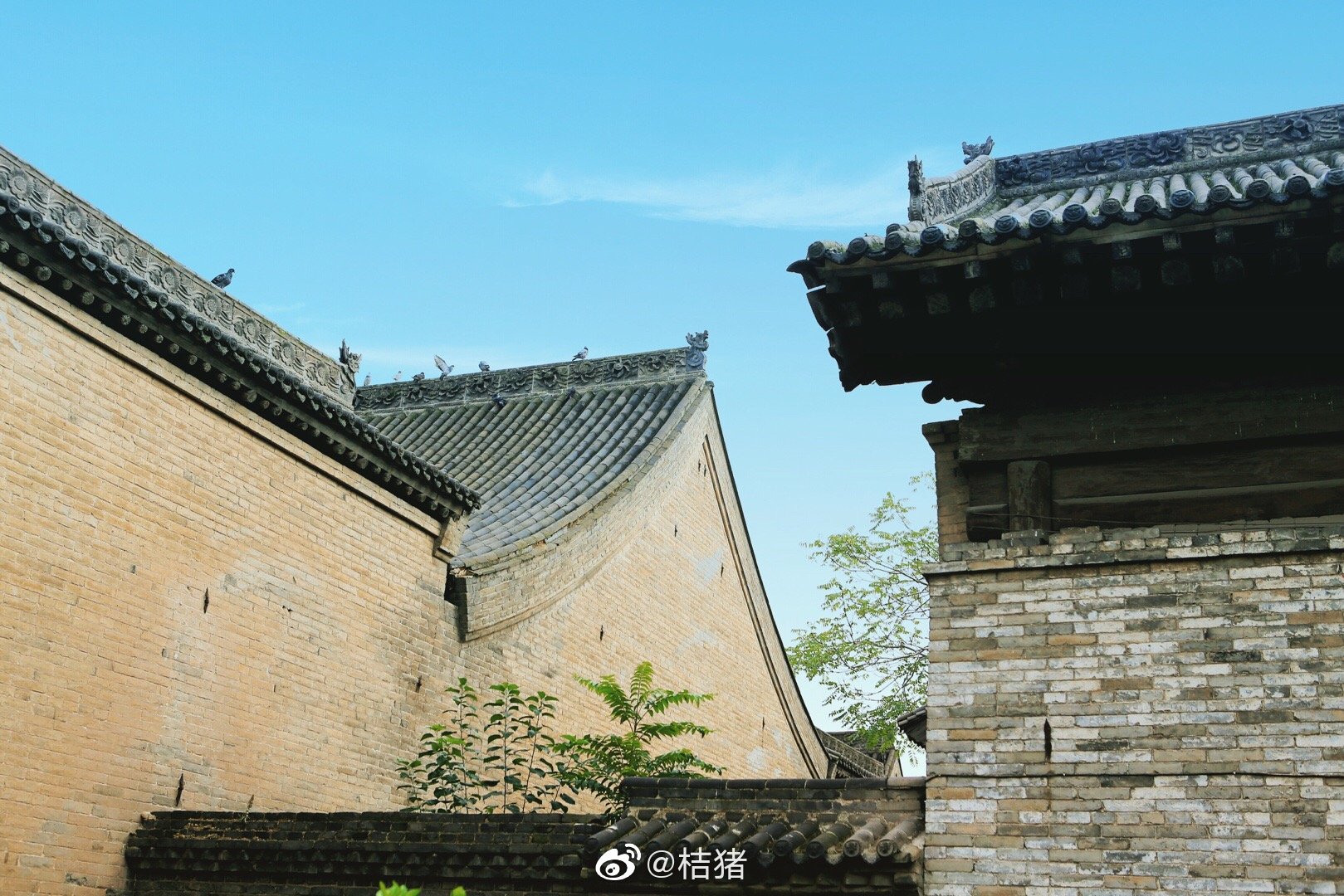 山西,临汾,丁村民宅_高清图集_新浪网