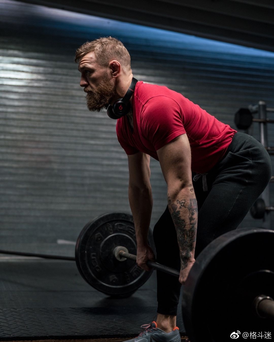 嘴炮开始加强核心力量训练!练大力就完事儿了.