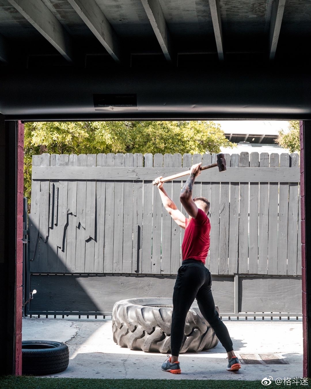 嘴炮开始加强核心力量训练!练大力就完事儿了.