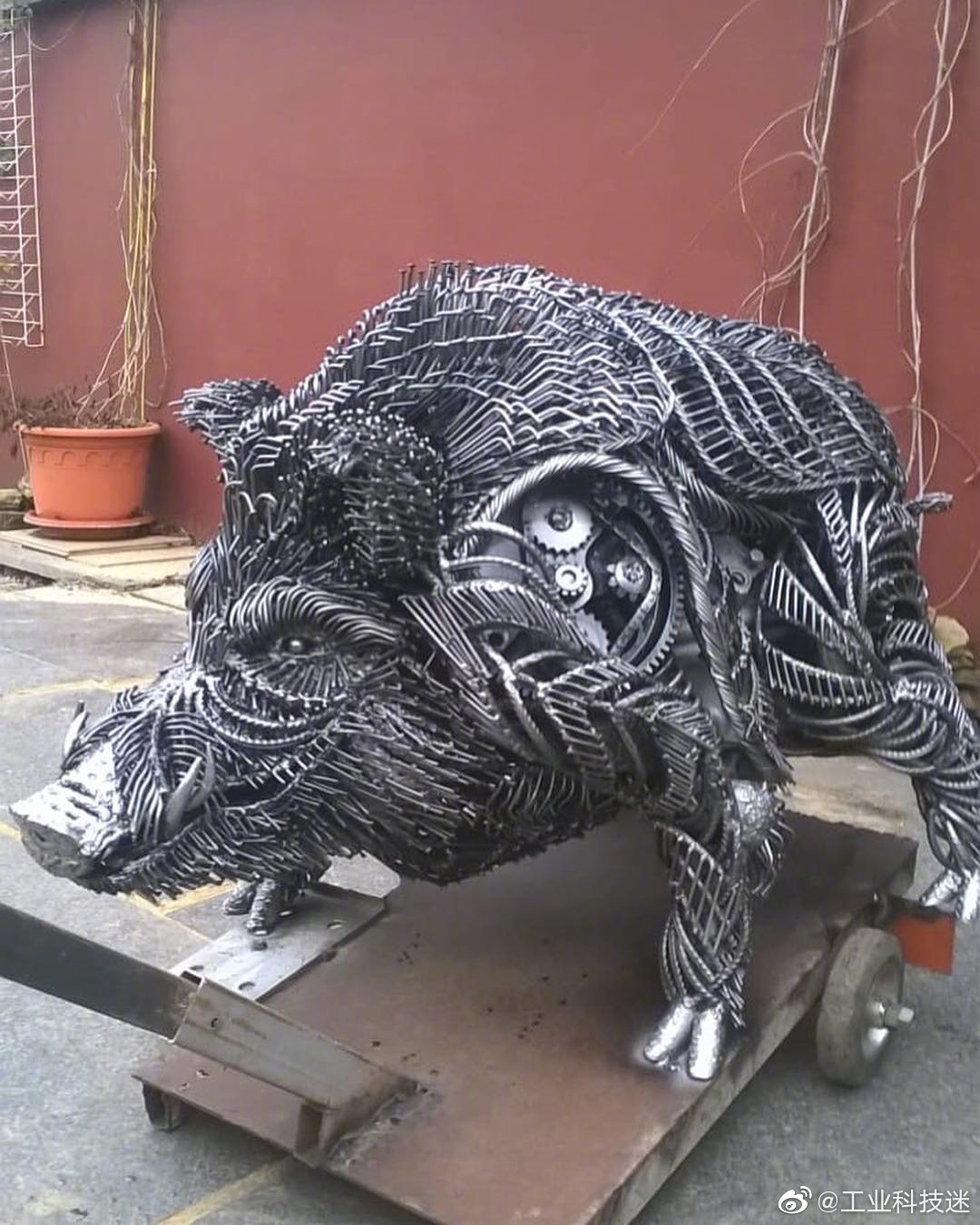 硬核猪,机械猪,哈哈