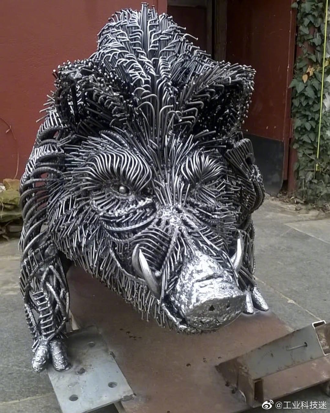 硬核猪,机械猪,哈哈