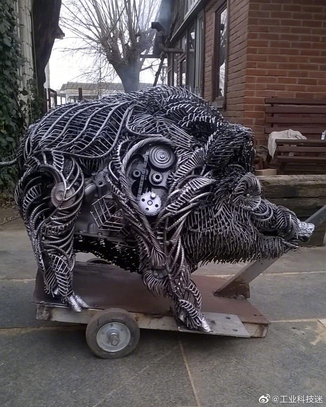 硬核猪,机械猪,哈哈