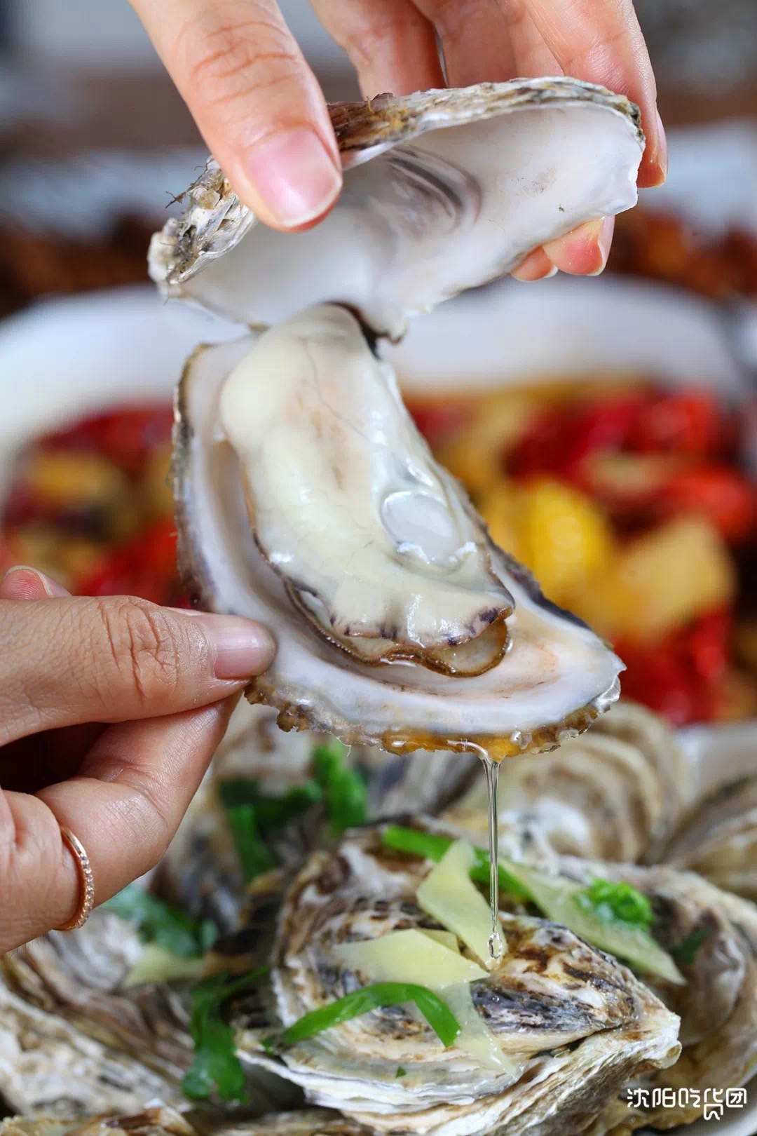 高压锅黄金豆小龙虾,沈阳首创超好吃!台湾特色蒸汽生蚝