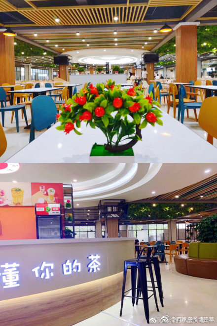 石家庄学院新食堂改造后美翻了石家庄学院的校友有没有