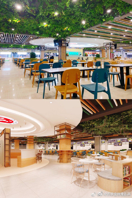 石家庄学院新食堂改造后美翻了石家庄学院的校友有没有