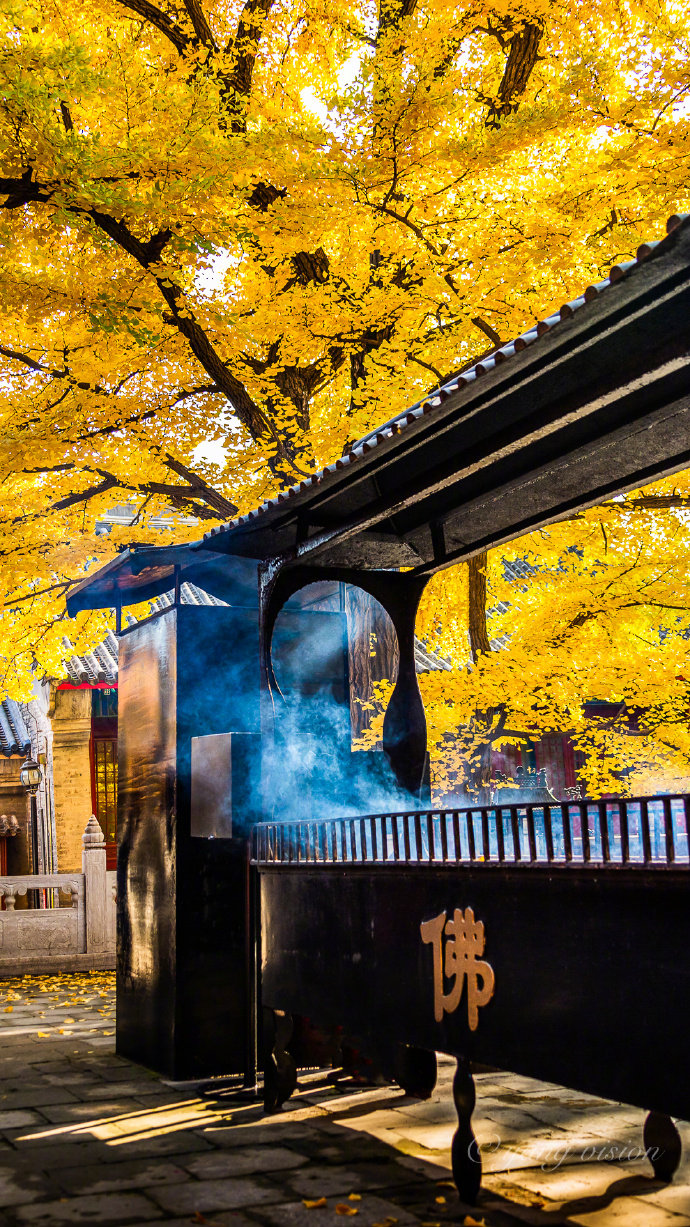 2019古建秋色,红螺寺银杏叶_高清图集_新浪网