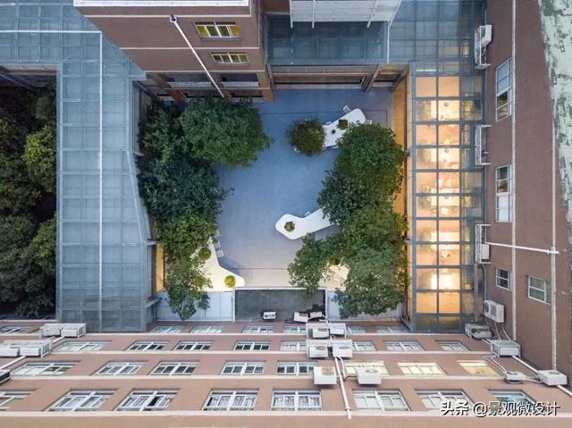 景观中庭案例赏析!,难得的心声|景观|花园|庭院_新浪新闻