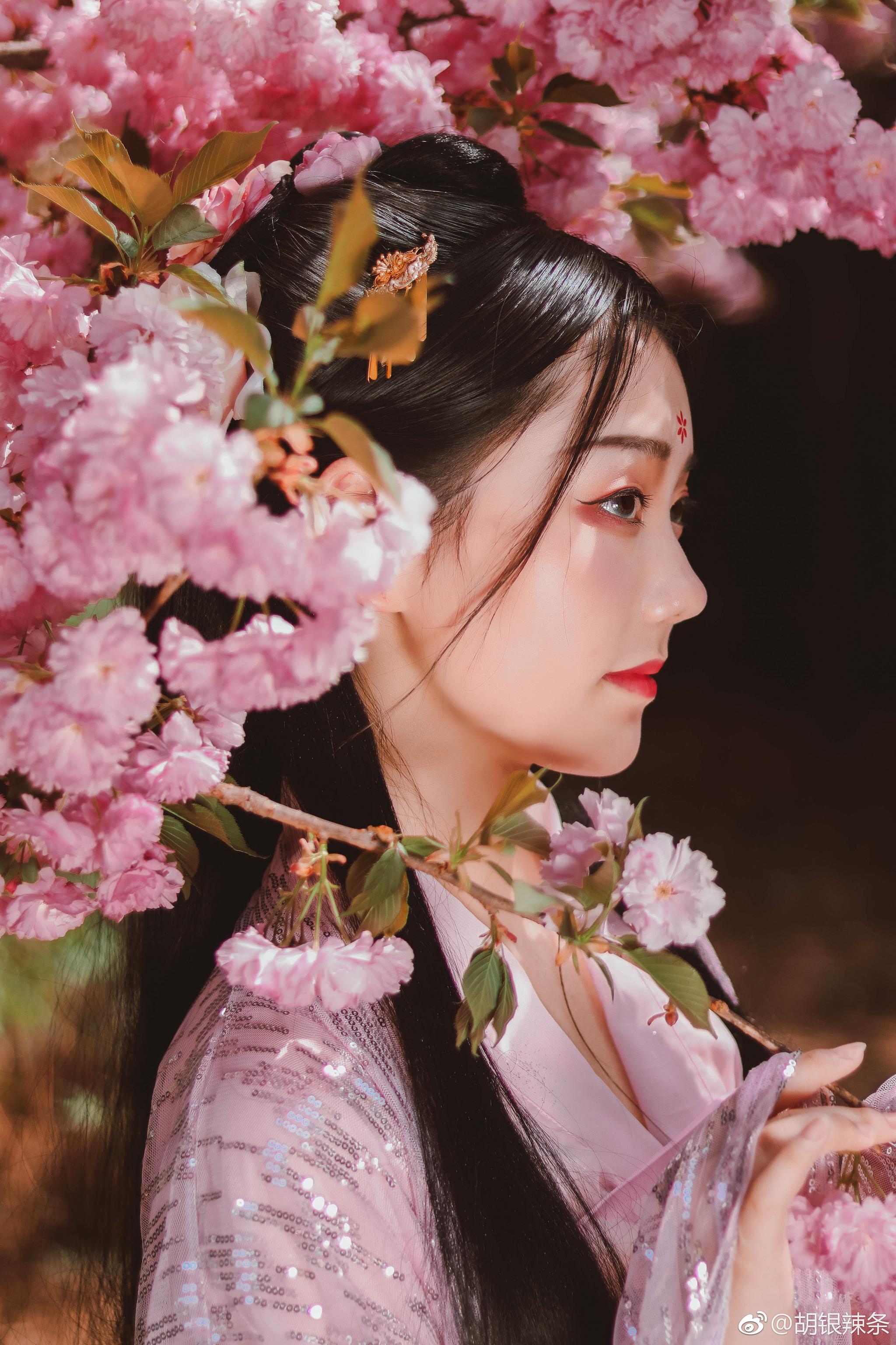 『客片分享』春风先发苑中梅，樱杏桃梨次第开。妆发:@女轻阿|春风_新浪新闻