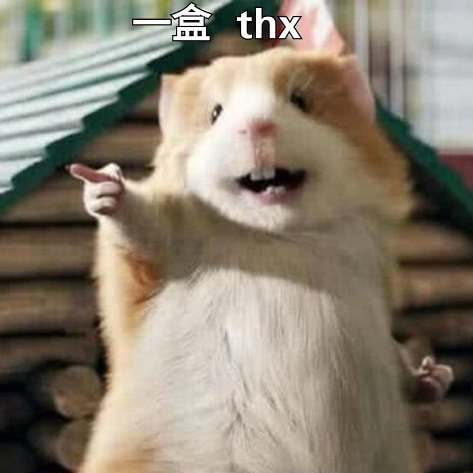 最近香港人的口头禅就是 两盒口罩 Thx 高清图集 新浪网