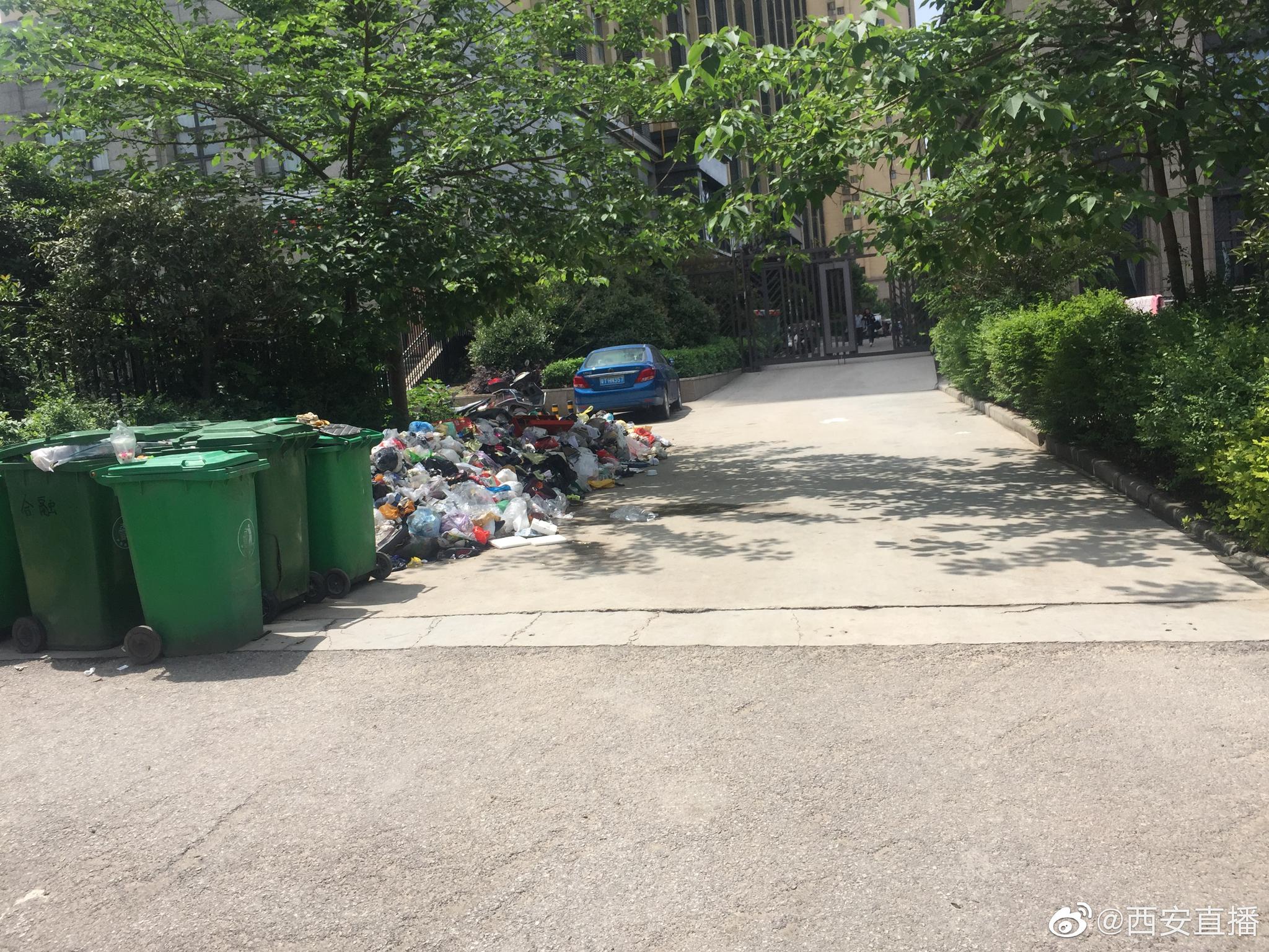 小区门口垃圾堆成山 谁来清理|韦曲|垃圾堆|恶臭_新浪新闻