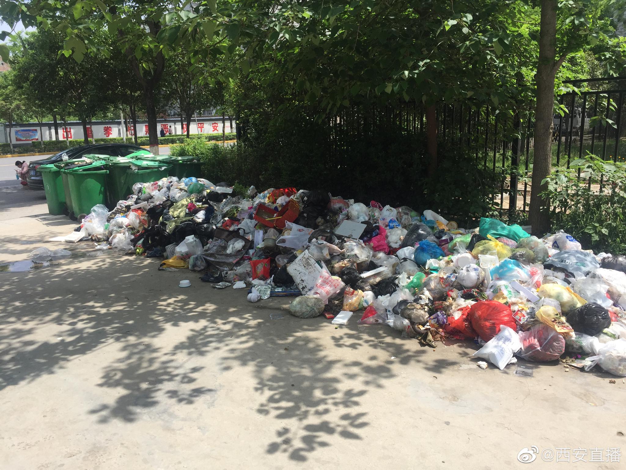 小区门口垃圾堆成山 谁来清理|韦曲|垃圾堆|恶臭_新浪新闻