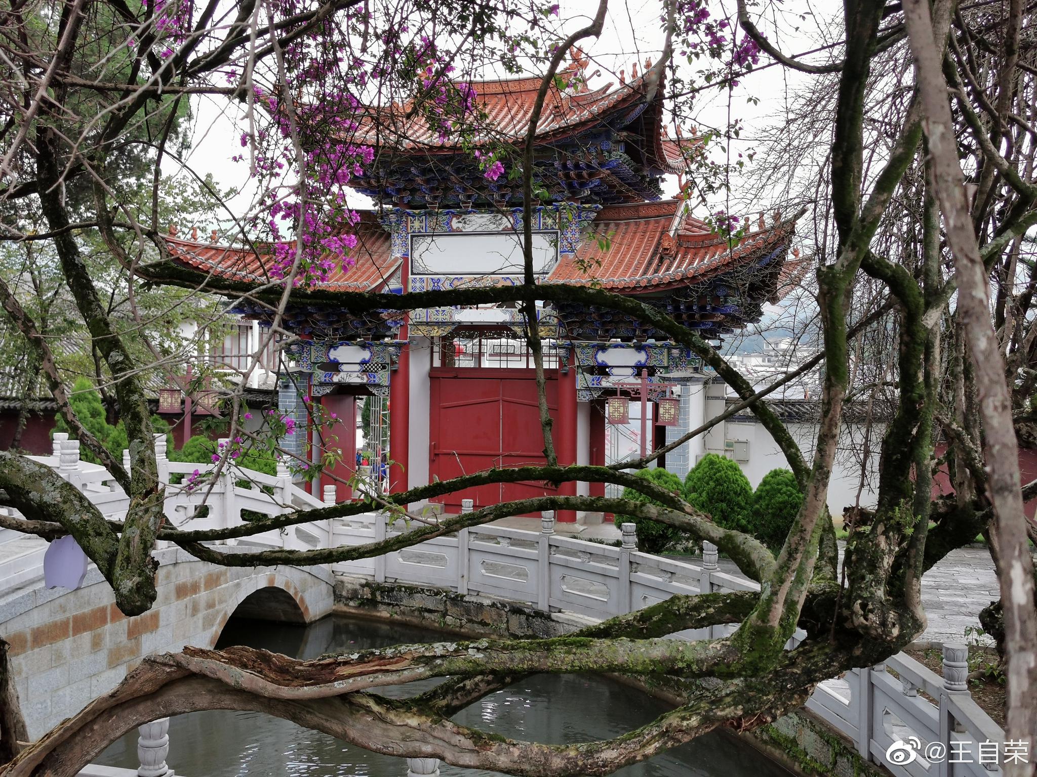 凤庆文庙,喜欢这里的三角梅.