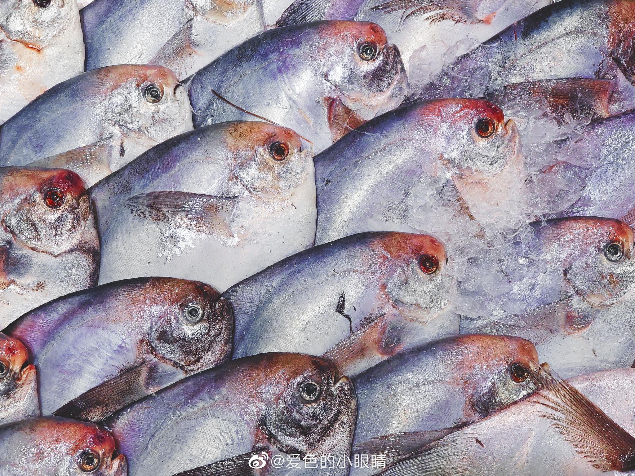 二月二,逛超市,看点水产品photos by 索尼 xperia 1