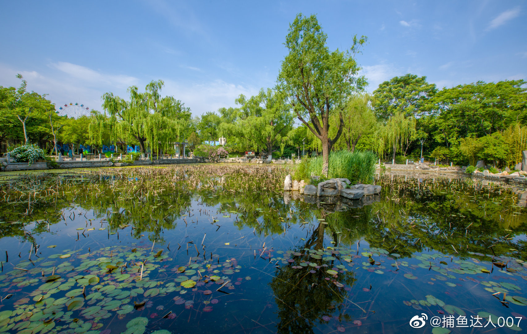 泉城公园@新浪山东 @浪部落 @济南市文化和旅游局 @中国摄影师联盟_新浪新闻