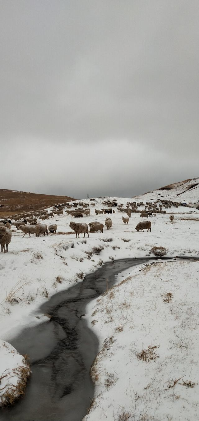 会泽大海草山2018年的最后一场雪已经刷爆朋友圈美哭了
