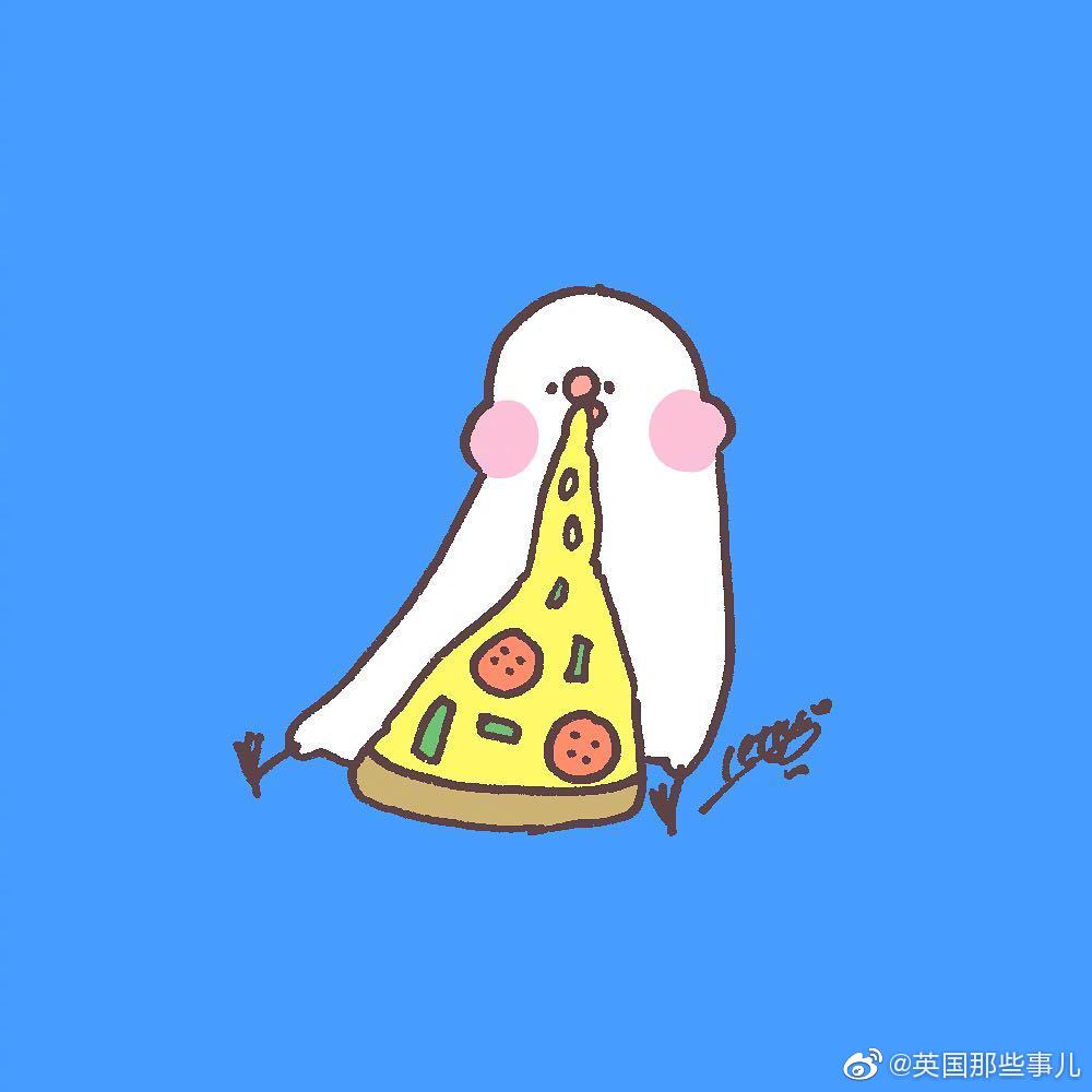 一只文鸟的幸福生活……傻傻的有点可爱~ins:retasu_kobo