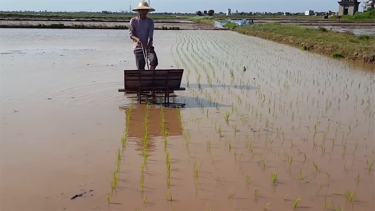 农村小哥自制"手推式"插秧机,一人顶10人,200元造一台