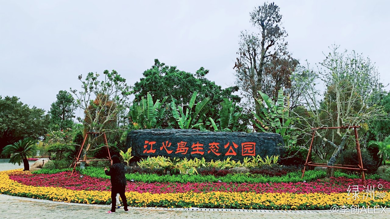 江心岛生态公园图片图片