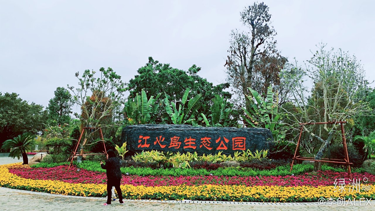 过年在家出来晒晒太阳,吴川的江心岛春暖花开