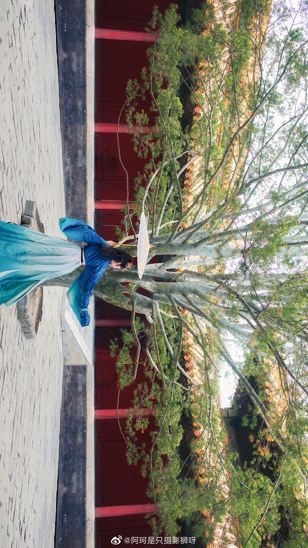 "青鸾飞入合欢宫