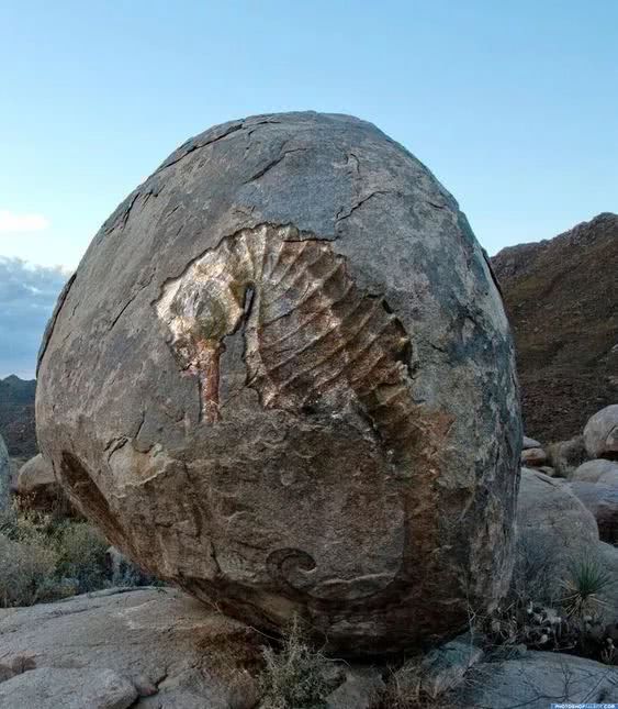 绝世罕见的怪石,真是太美!|岩石|夫妇岩|石头包_新浪新闻