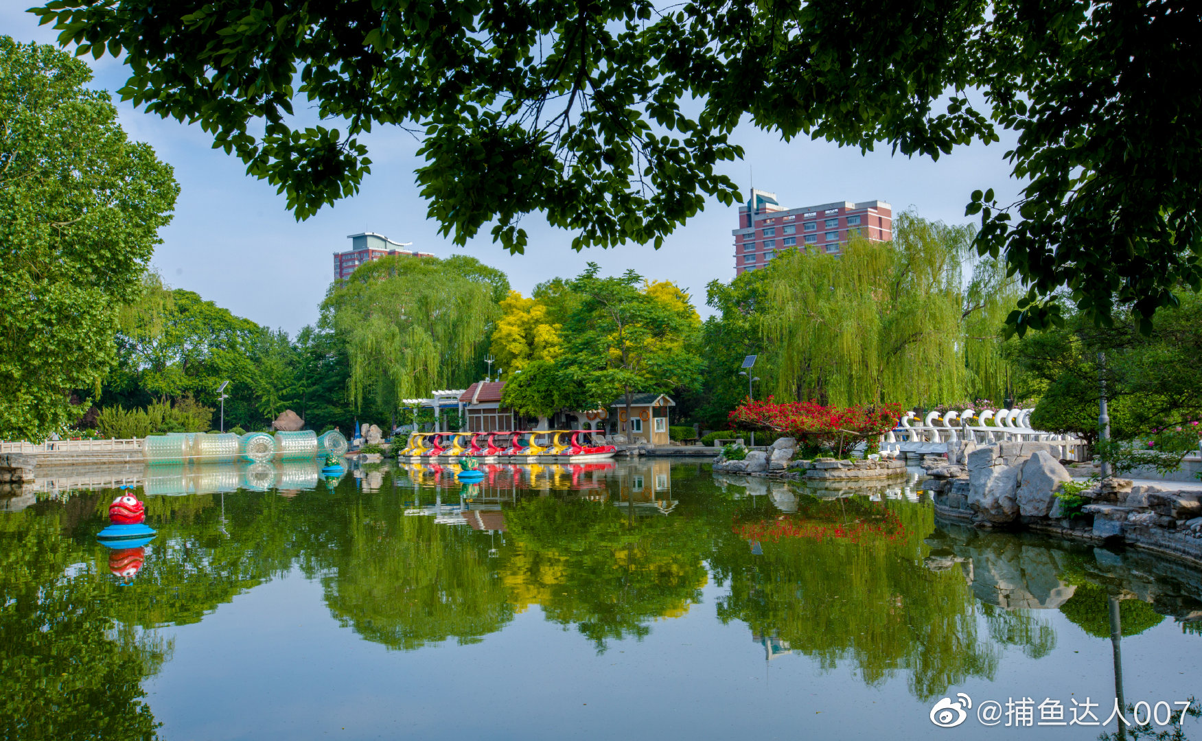 泉城公园新浪山东浪部落济南市文化和旅游局中国摄影师联盟