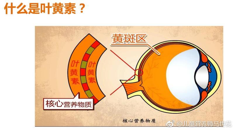 叶黄素