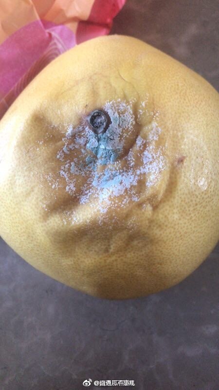 囧兔几不是喵 :单位在麦德龙采购的年货|麦德龙|柚子|年货_新浪新闻