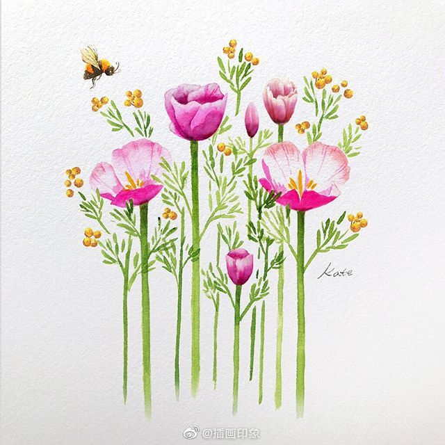 小清新水彩花卉绿植 插画师:kate kyehyun park