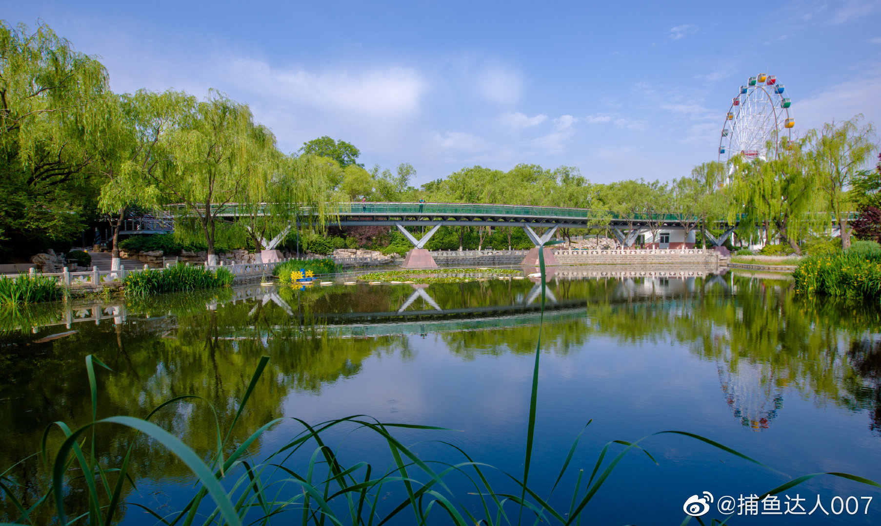 泉城公园@新浪山东 @浪部落 @济南市文化和旅游局 @中国摄影师联盟_新浪新闻