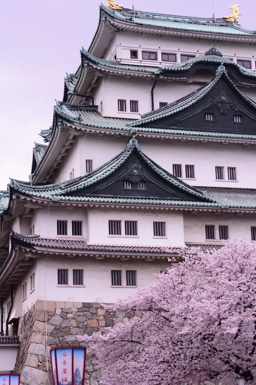 2019日本樱花绽放时间表出炉错过再等一年