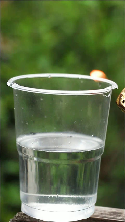 烧毁上杯子,过好下辈子,究竟是水保护了杯子还是杯子保护了水?